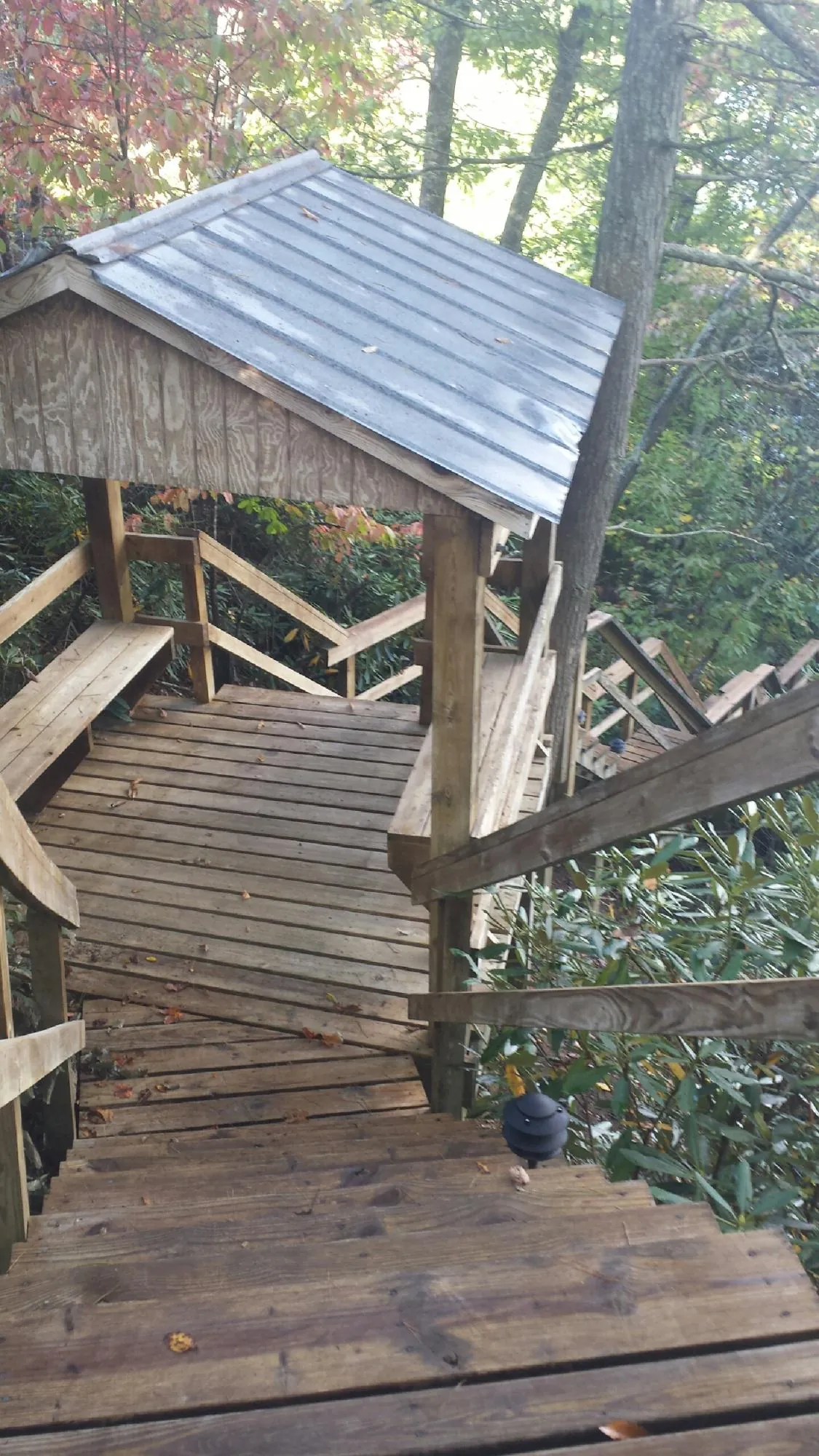 Metal roofed shelter over wooden steps on a wooded walkway — Skylight Repair & Installation work by our crew in Dassel